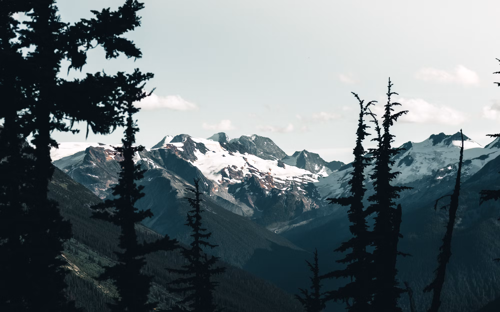 Exploring the Great Outdoors: A Comprehensive Guide to Hiking